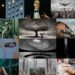 Магията на обектива: Кои са победителите в Sony World Photography Awards 2026?