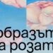 разцъфтялата тайна на казанлъшката галерия: 125 години изкуство през призмата на розата
